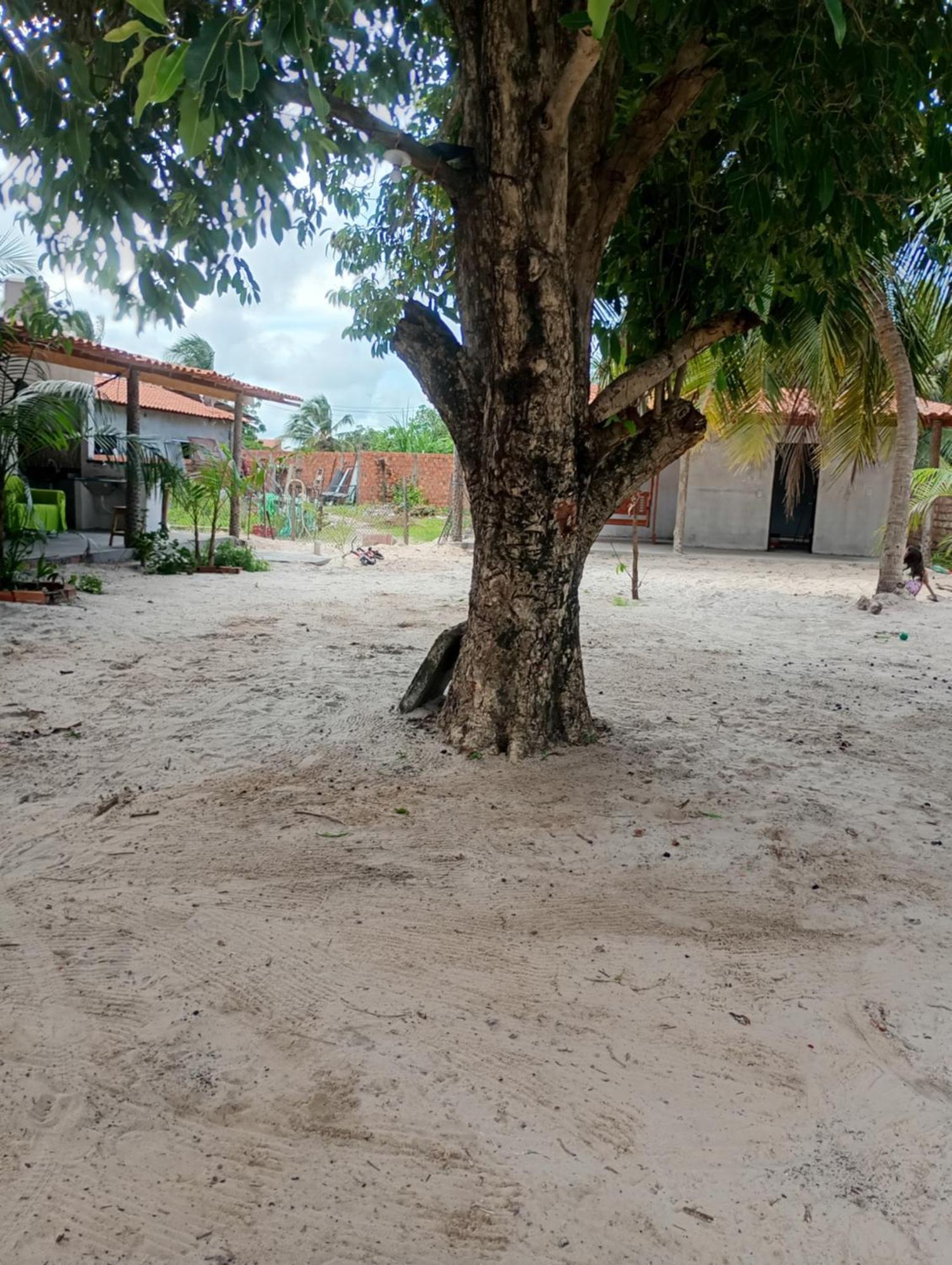 Hostel E Camping Na Rua Das Flores Santo Amaro do Maranhao Exterior foto